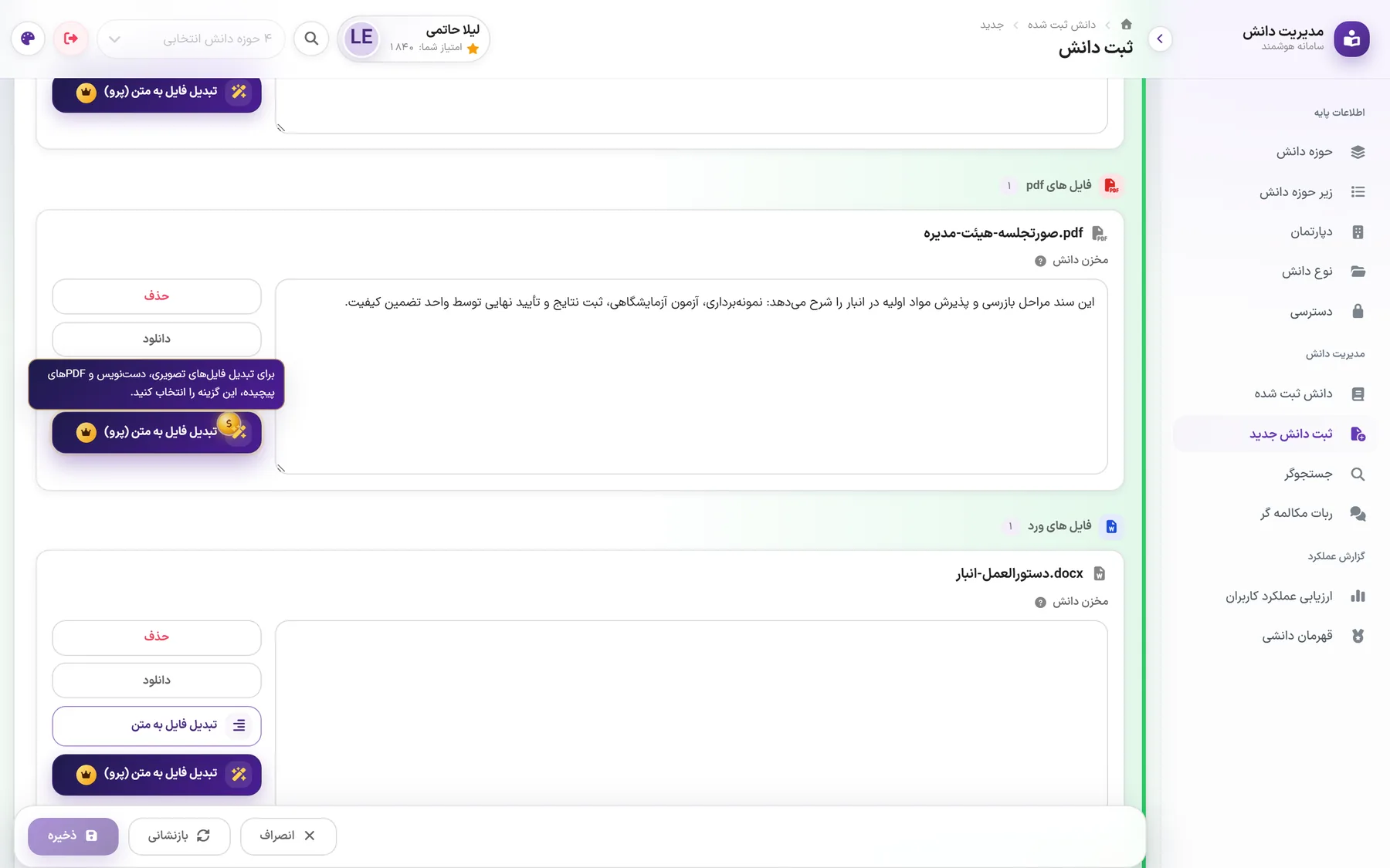 AI file-to-text (pro): the pro button with its gold badge and a usage tooltip